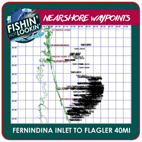 Fernandina to Flagler Beach