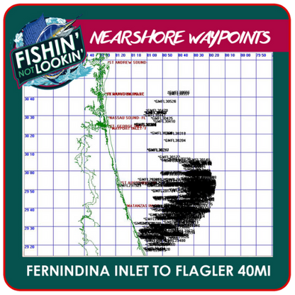 Fernandina to Flagler Beach