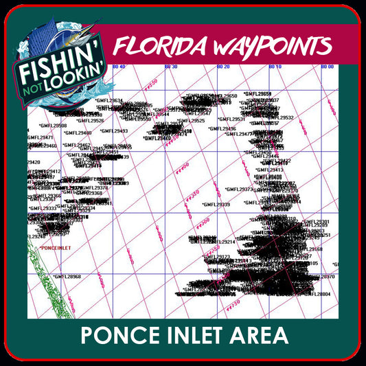 Ponce Inlet Area Book