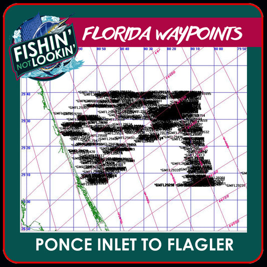Ponce Inlet to Flagler