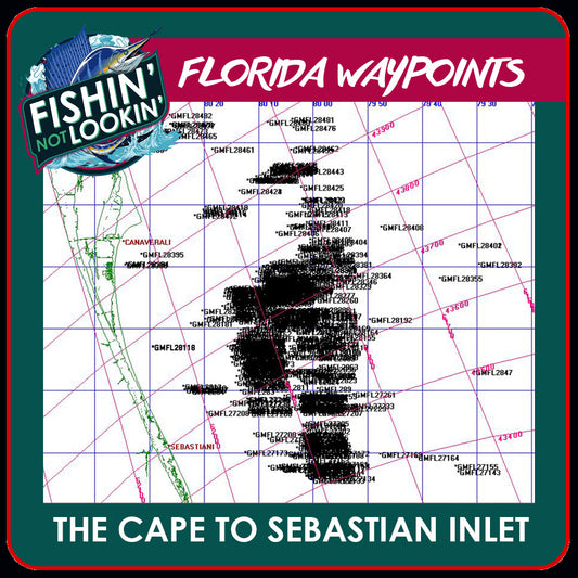 The Cape to Sebastian Inlet